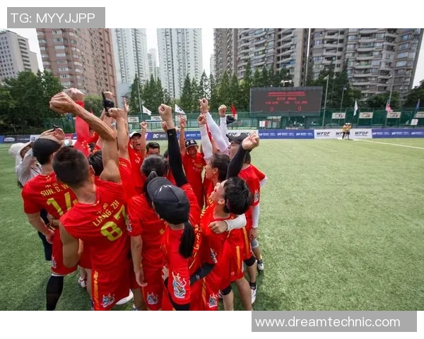 飞盘盛宴：深入了解成都飞盘队的实力与魅力